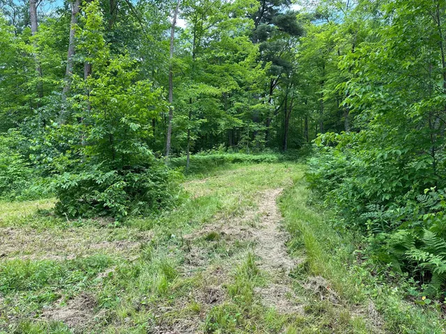 $287,000 | Tbd Tbd Tamarac Road, Onamia, MN 56359