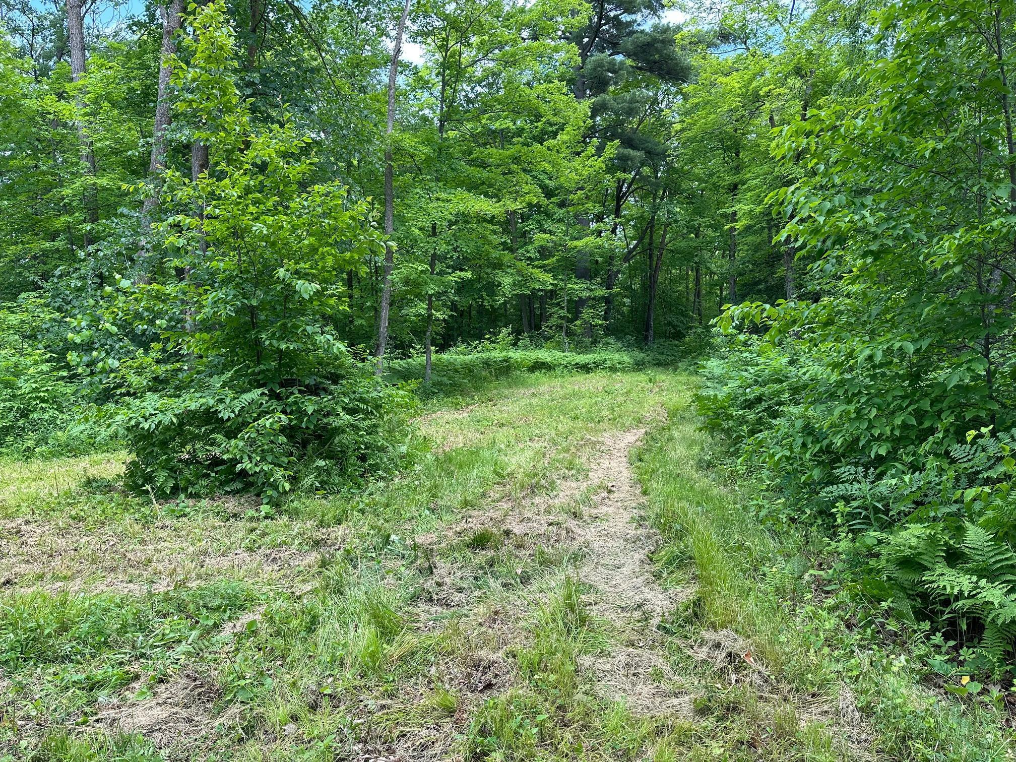 Tbd Tbd Tamarac Road Onamia, MN 56359 - Photo 20 of 49