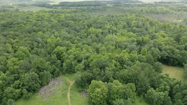 $287,000 | Tbd Tbd Tamarac Road, Onamia, MN 56359