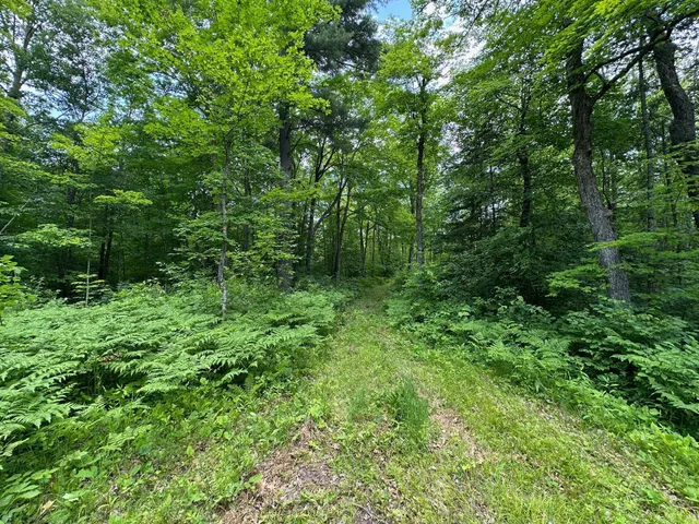 $287,000 | Tbd Tbd Tamarac Road, Onamia, MN 56359