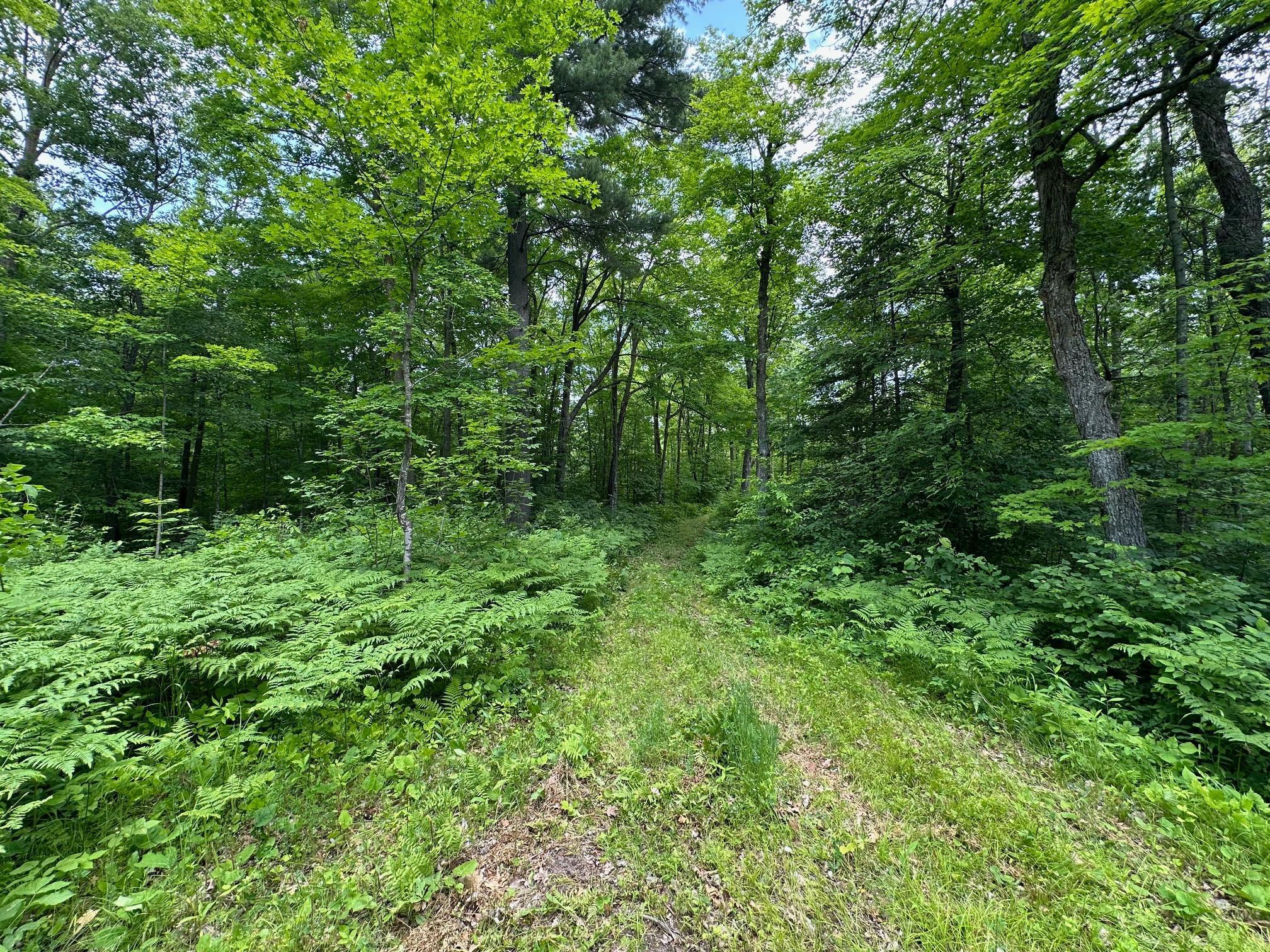 Tbd Tbd Tamarac Road Onamia, MN 56359 - Photo 21 of 49