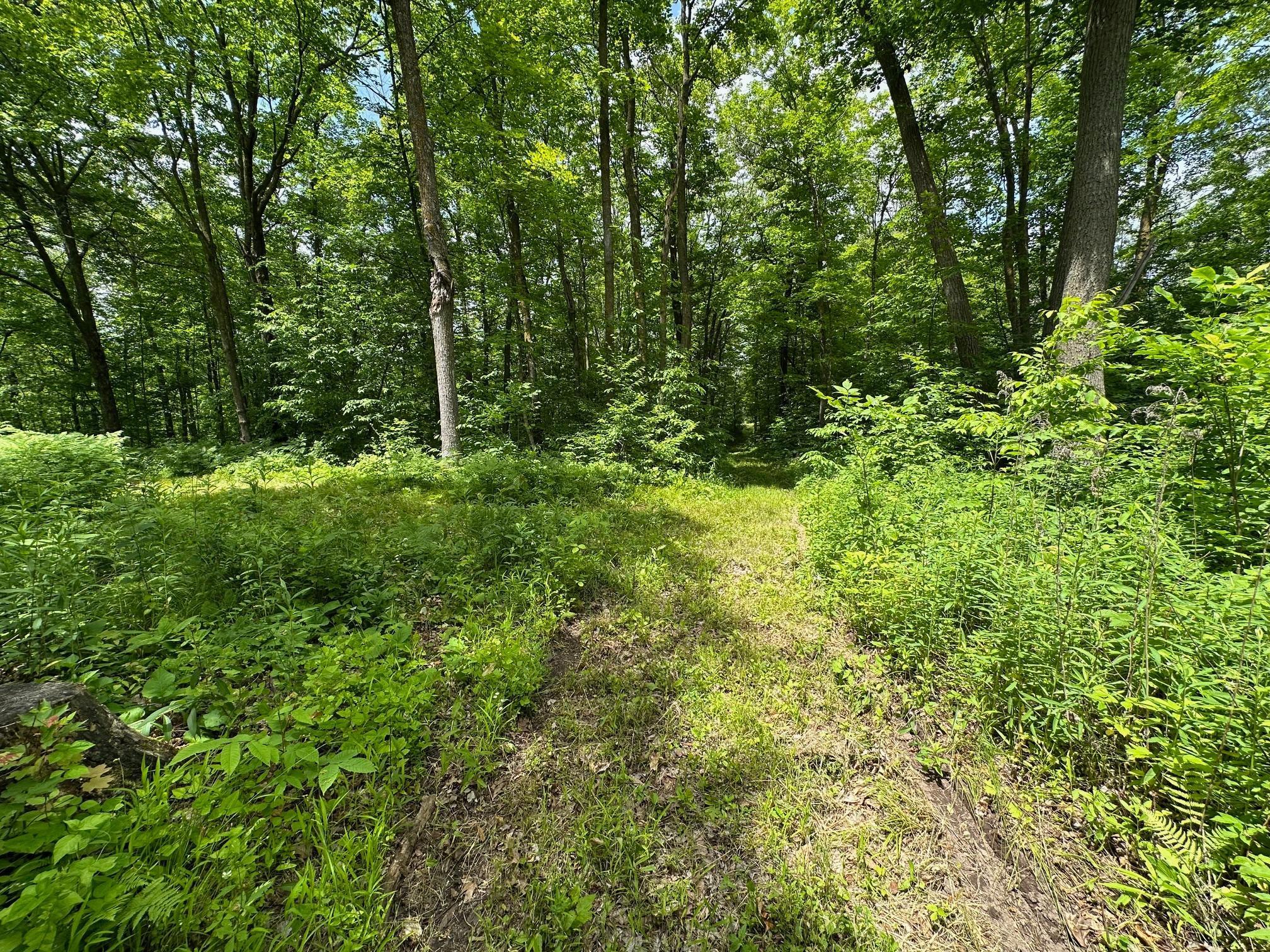 Tbd Tbd Tamarac Road Onamia, MN 56359 - Photo 22 of 49