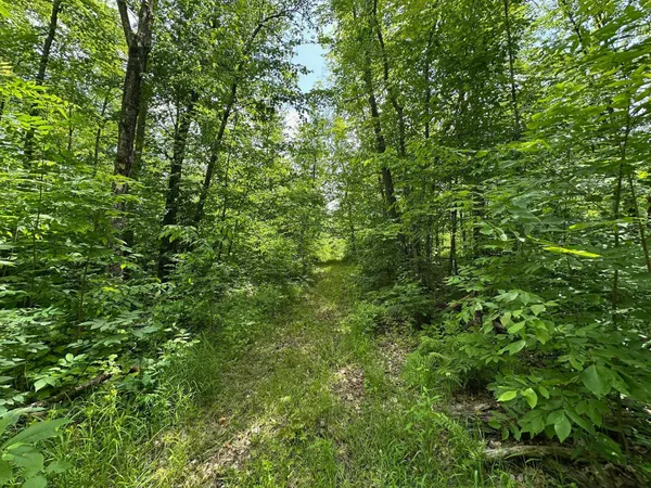 $287,000 | Tbd Tbd Tamarac Road, Onamia, MN 56359