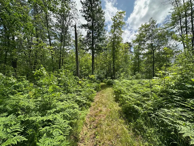 $287,000 | Tbd Tbd Tamarac Road, Onamia, MN 56359