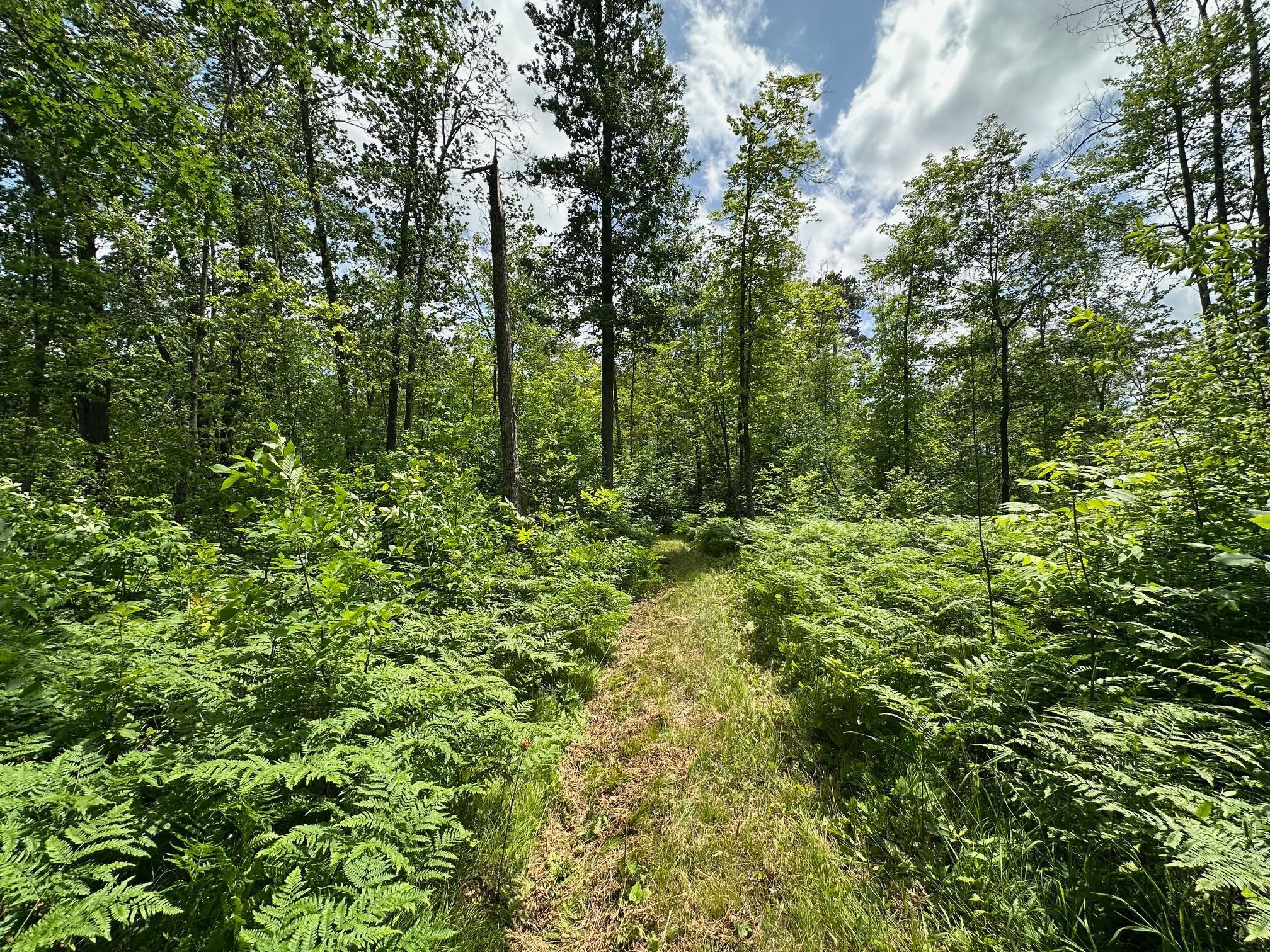 Tbd Tbd Tamarac Road Onamia, MN 56359 - Photo 24 of 49