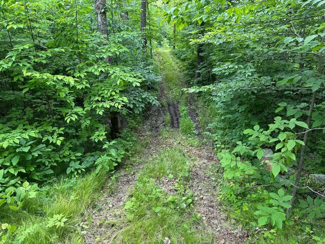 $287,000 | Tbd Tbd Tamarac Road, Onamia, MN 56359