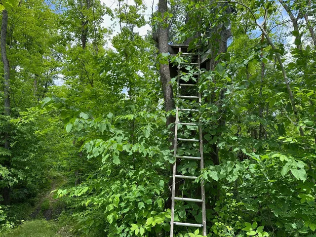 $287,000 | Tbd Tbd Tamarac Road, Onamia, MN 56359