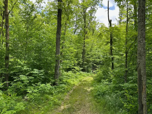 $287,000 | Tbd Tbd Tamarac Road, Onamia, MN 56359