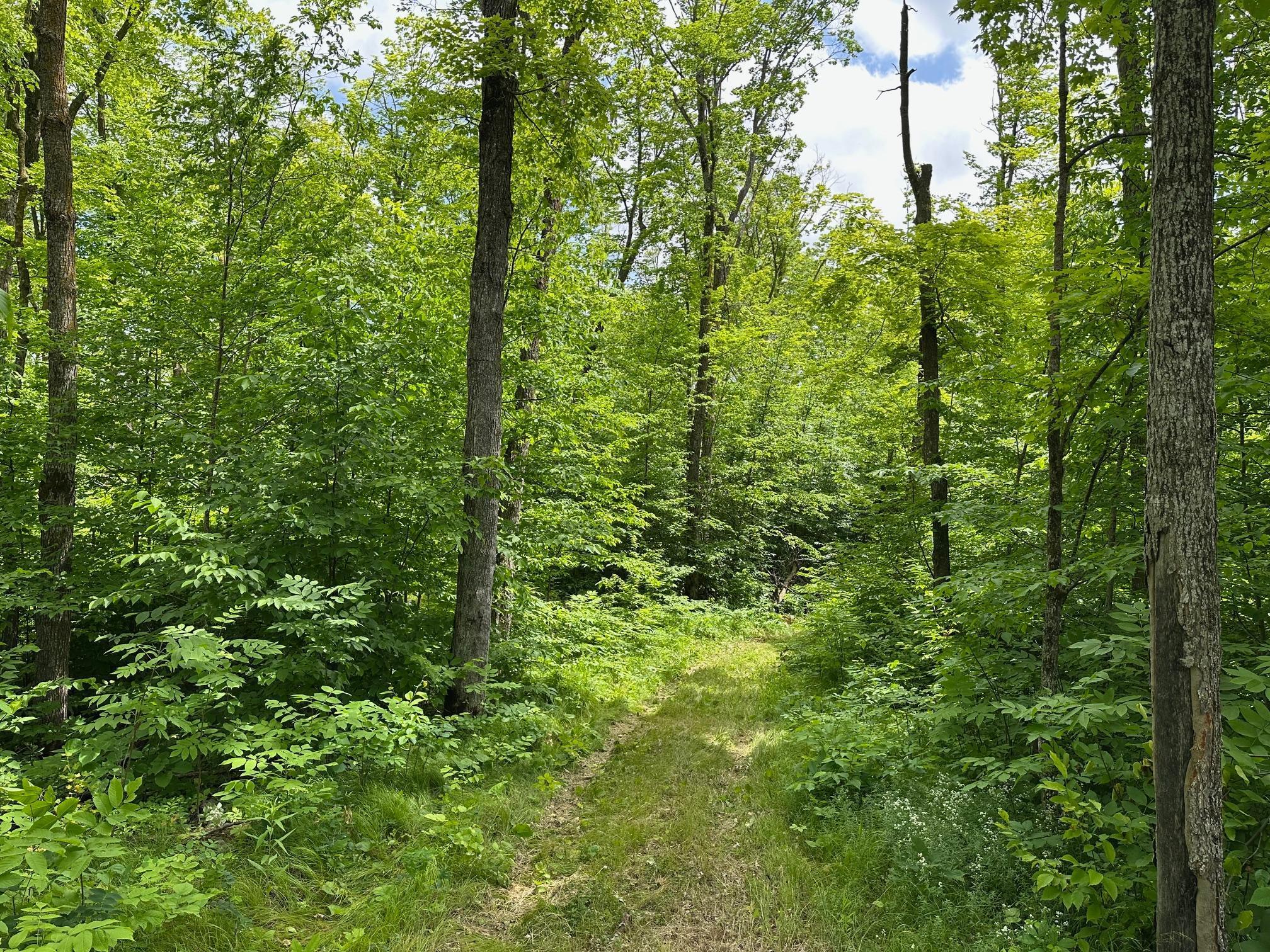 Tbd Tbd Tamarac Road Onamia, MN 56359 - Photo 28 of 49