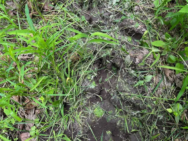 $287,000 | Tbd Tbd Tamarac Road, Onamia, MN 56359