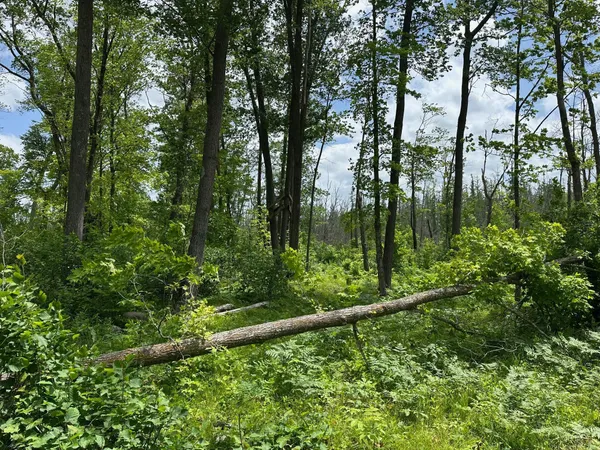 $287,000 | Tbd Tbd Tamarac Road, Onamia, MN 56359