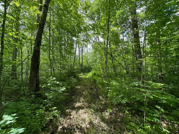 $279,900 | Tbd Tbd Tamarac Road, Onamia, MN 56359
