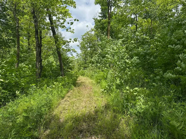 $287,000 | Tbd Tbd Tamarac Road, Onamia, MN 56359