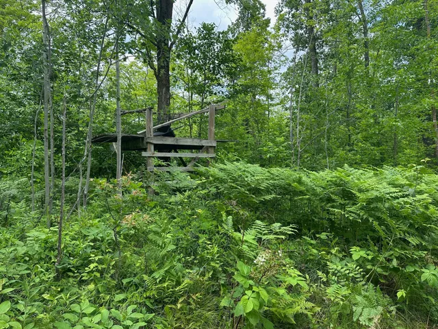 $287,000 | Tbd Tbd Tamarac Road, Onamia, MN 56359