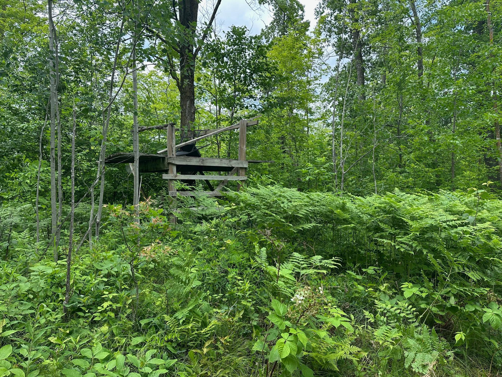 Tbd Tbd Tamarac Road Onamia, MN 56359 - Photo 32 of 49