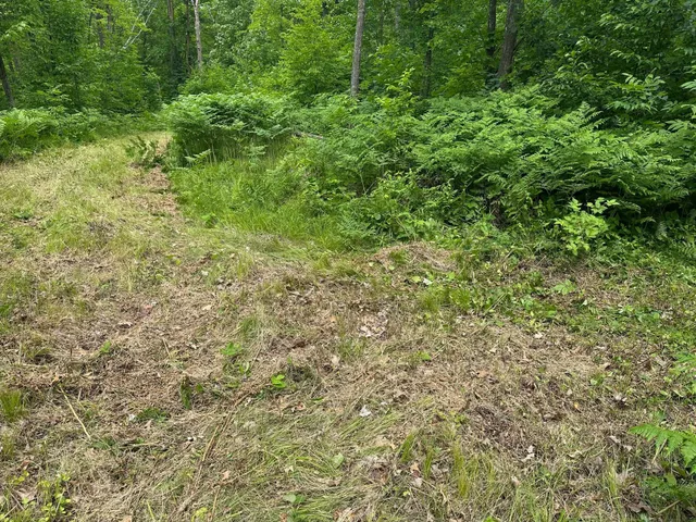 $287,000 | Tbd Tbd Tamarac Road, Onamia, MN 56359