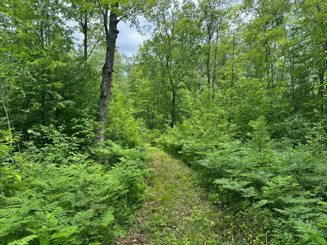 $287,000 | Tbd Tbd Tamarac Road, Onamia, MN 56359