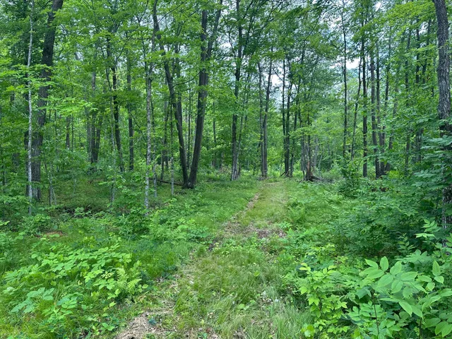 $287,000 | Tbd Tbd Tamarac Road, Onamia, MN 56359