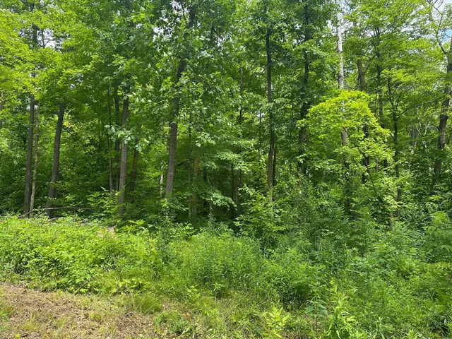 $287,000 | Tbd Tbd Tamarac Road, Onamia, MN 56359