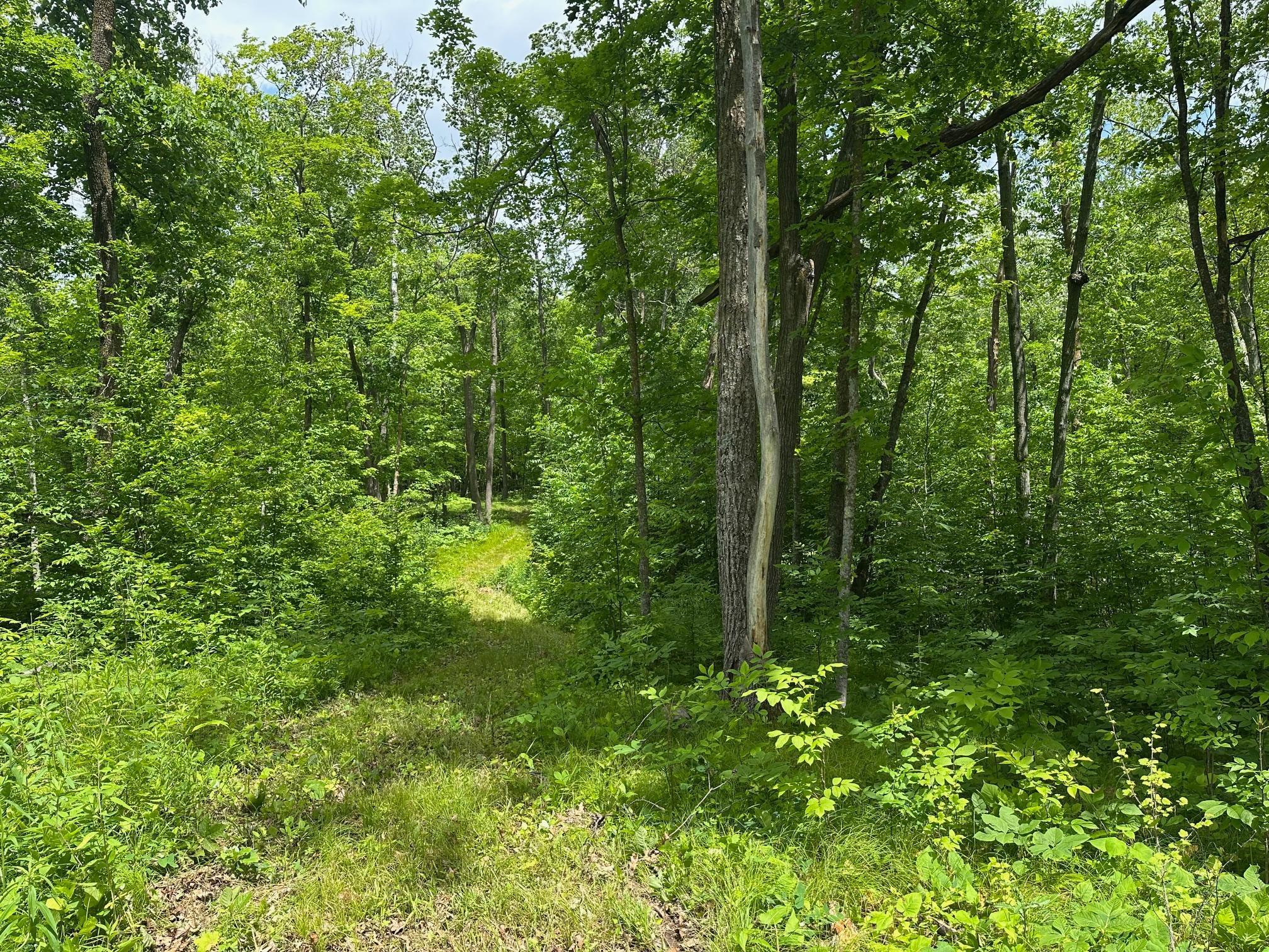 Tbd Tbd Tamarac Road Onamia, MN 56359 - Photo 37 of 49