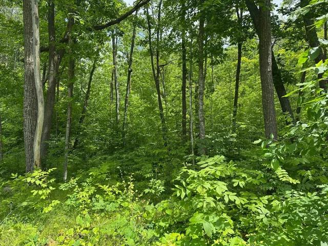 $287,000 | Tbd Tbd Tamarac Road, Onamia, MN 56359
