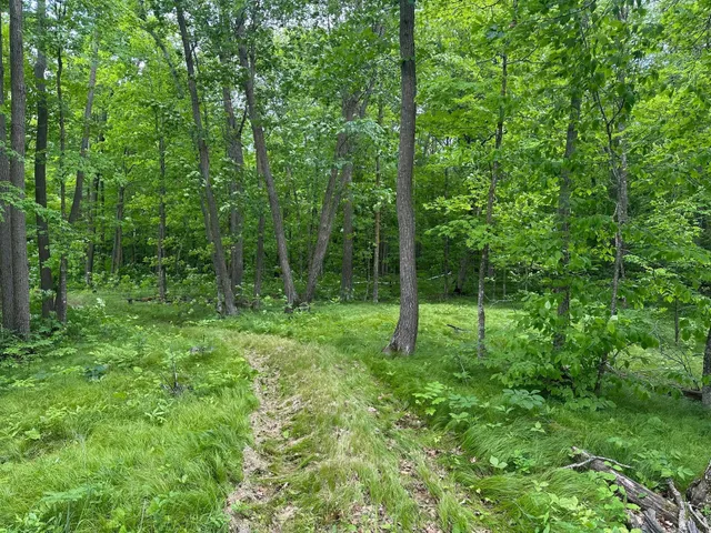 $287,000 | Tbd Tbd Tamarac Road, Onamia, MN 56359