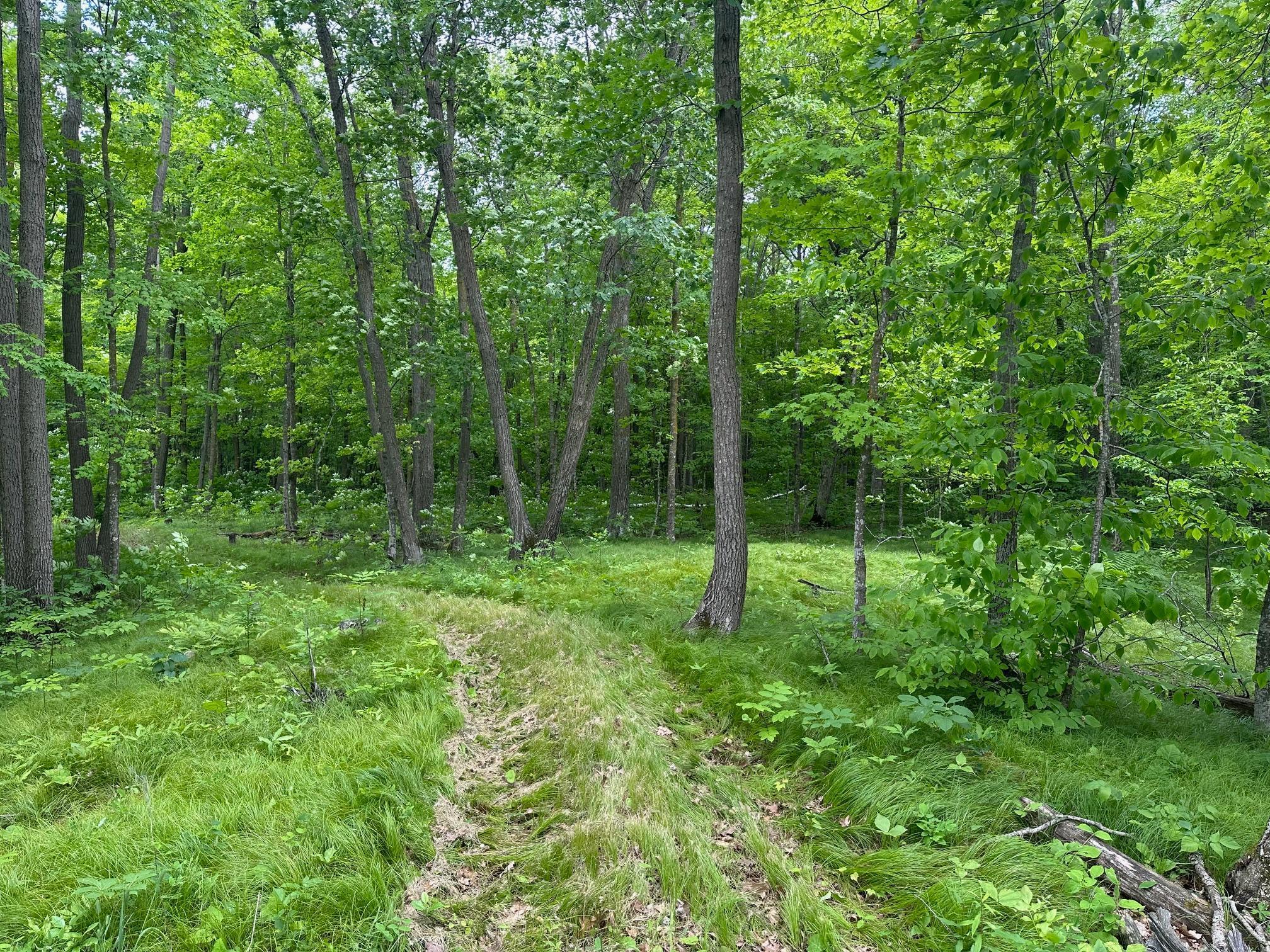 Tbd Tbd Tamarac Road Onamia, MN 56359 - Photo 39 of 49