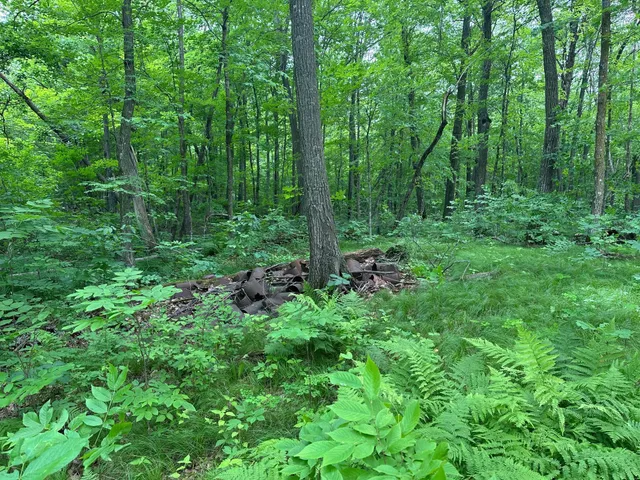 $287,000 | Tbd Tbd Tamarac Road, Onamia, MN 56359