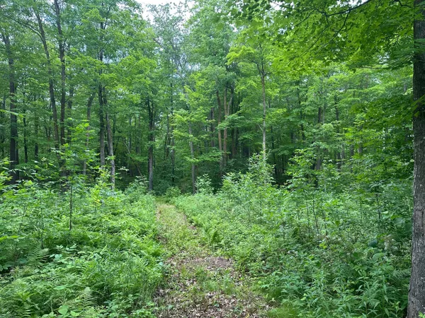 $287,000 | Tbd Tbd Tamarac Road, Onamia, MN 56359