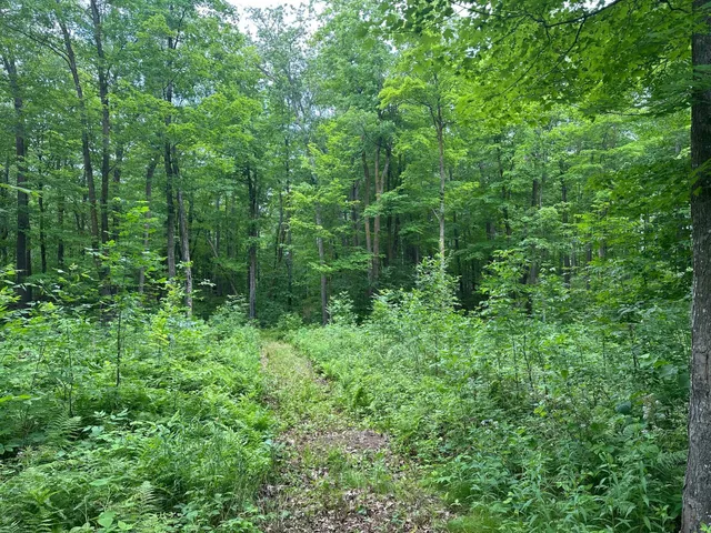 $287,000 | Tbd Tbd Tamarac Road, Onamia, MN 56359