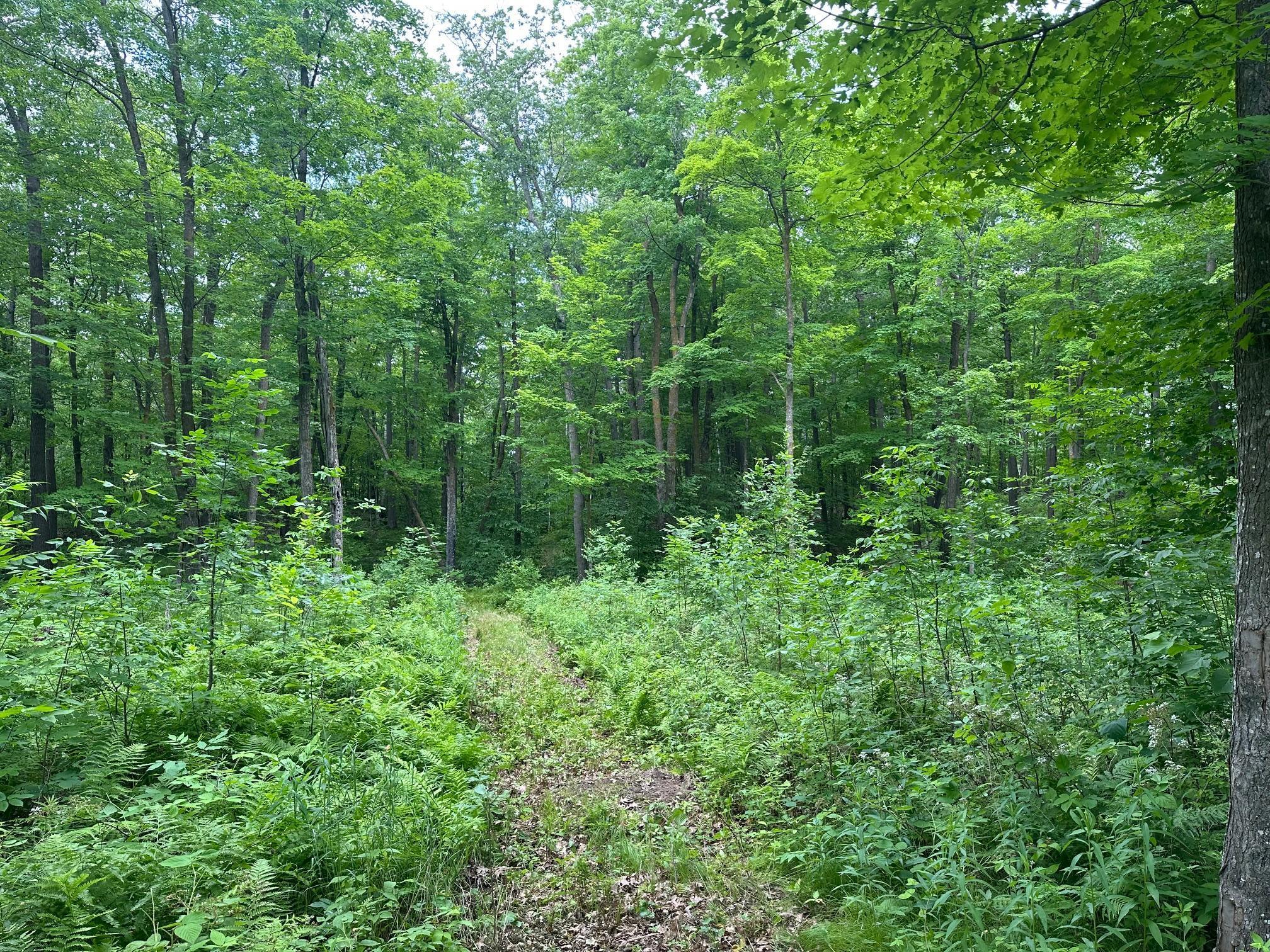 Tbd Tbd Tamarac Road Onamia, MN 56359 - Photo 41 of 49