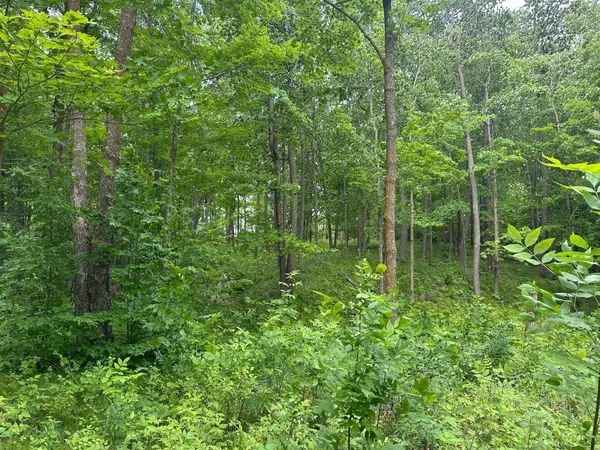 $287,000 | Tbd Tbd Tamarac Road, Onamia, MN 56359