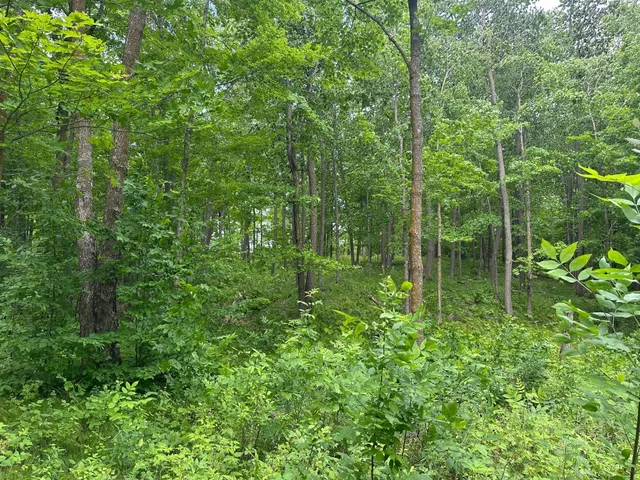 $287,000 | Tbd Tbd Tamarac Road, Onamia, MN 56359