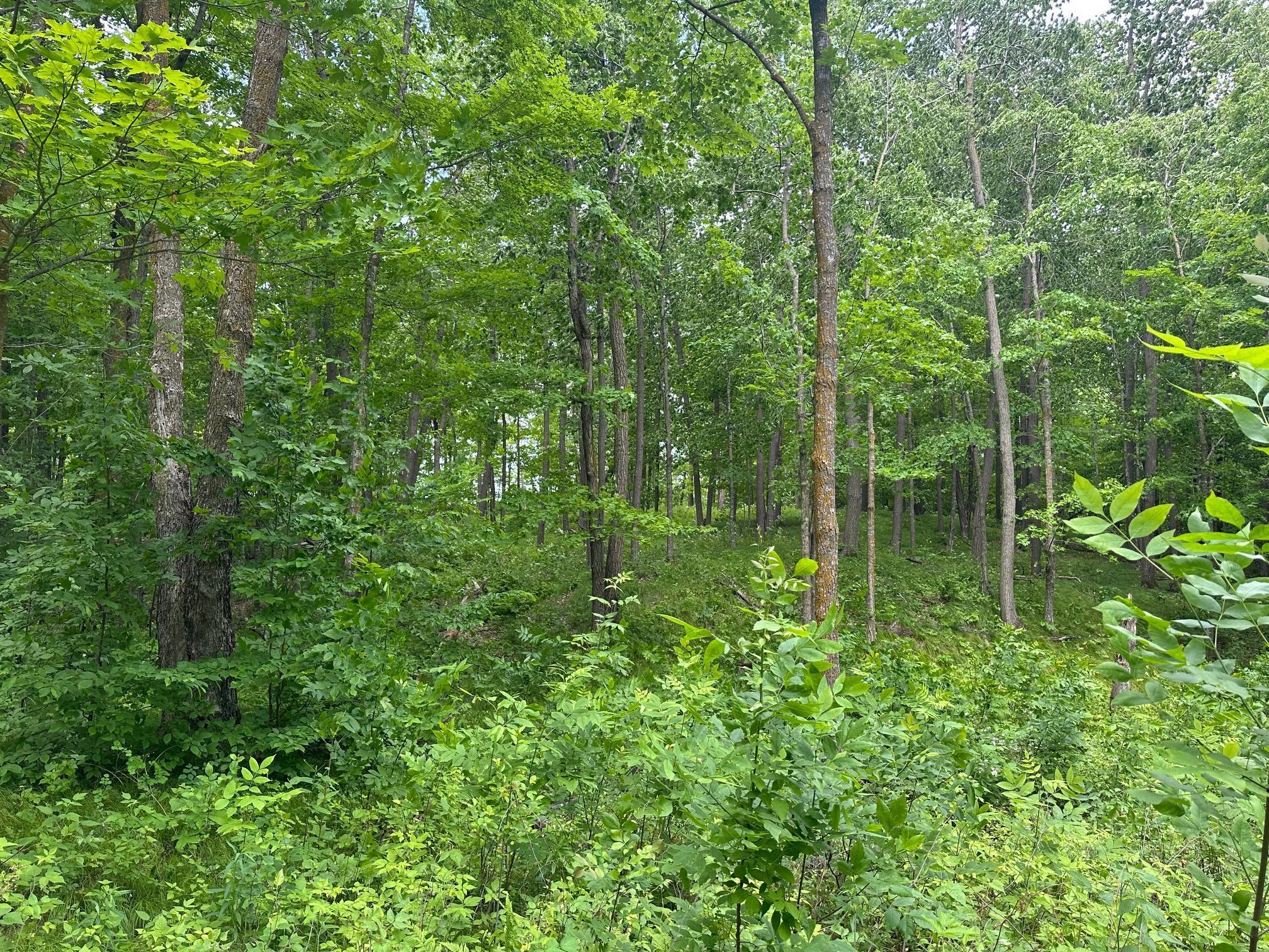 Tbd Tbd Tamarac Road Onamia, MN 56359 - Photo 42 of 49