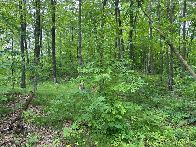 $287,000 | Tbd Tbd Tamarac Road, Onamia, MN 56359