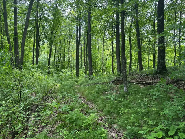 $287,000 | Tbd Tbd Tamarac Road, Onamia, MN 56359