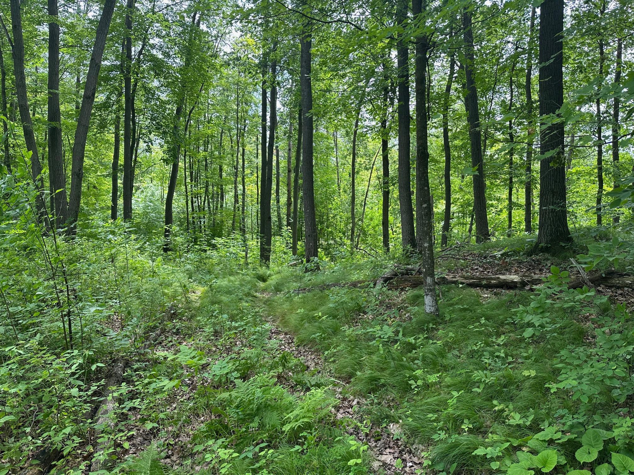 Tbd Tbd Tamarac Road Onamia, MN 56359 - Photo 44 of 49