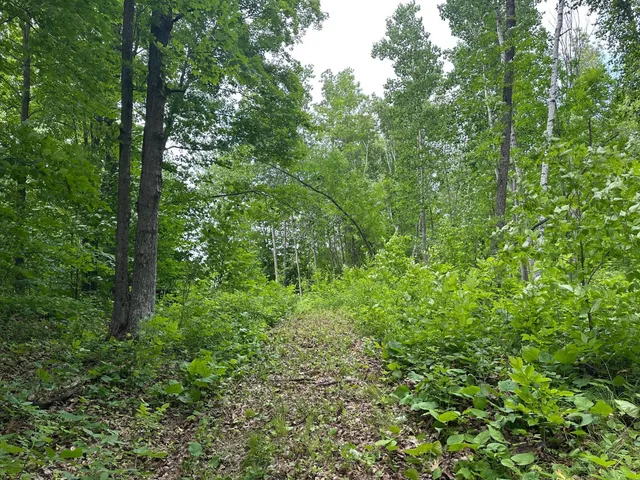 $287,000 | Tbd Tbd Tamarac Road, Onamia, MN 56359