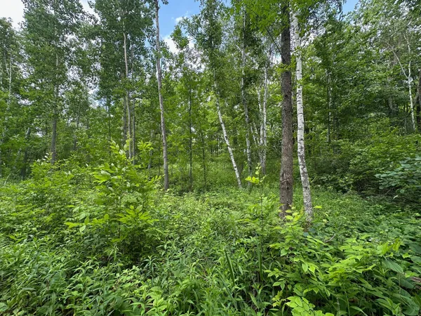 $287,000 | Tbd Tbd Tamarac Road, Onamia, MN 56359
