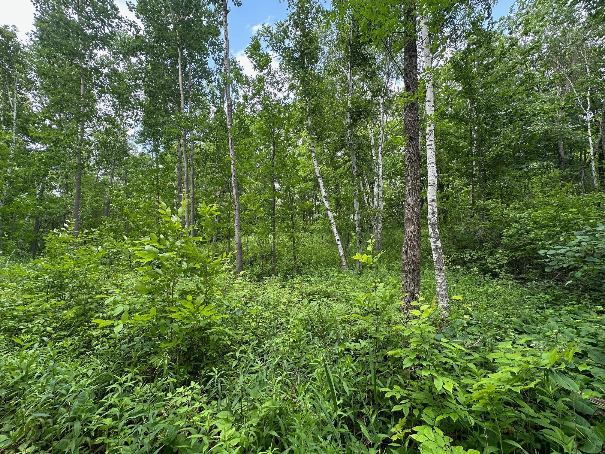 Tbd Tbd Tamarac Road Onamia, MN 56359 - Photo 46 of 49