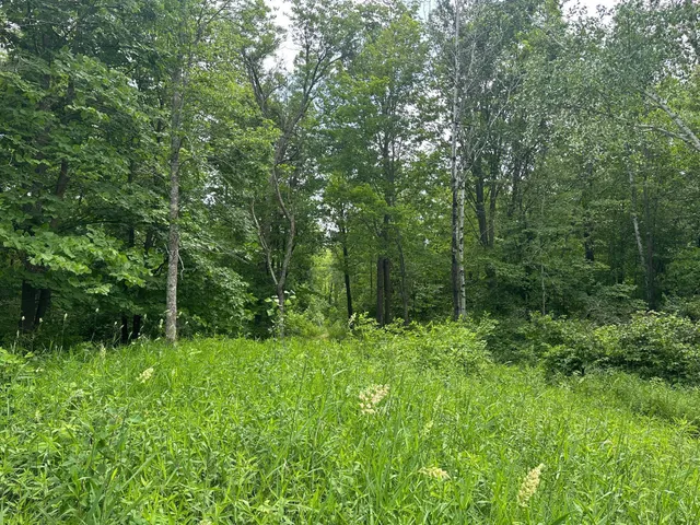 $287,000 | Tbd Tbd Tamarac Road, Onamia, MN 56359