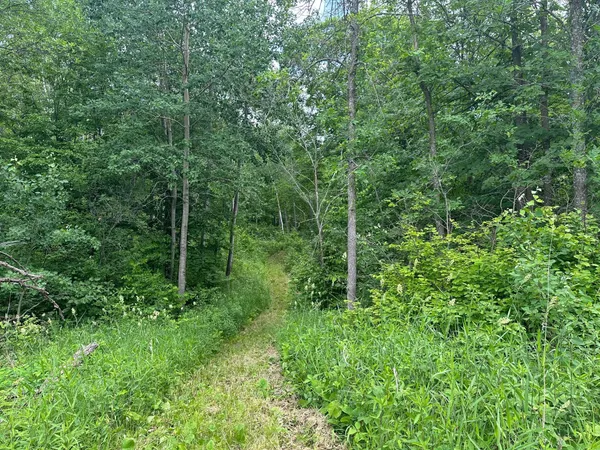 $287,000 | Tbd Tbd Tamarac Road, Onamia, MN 56359