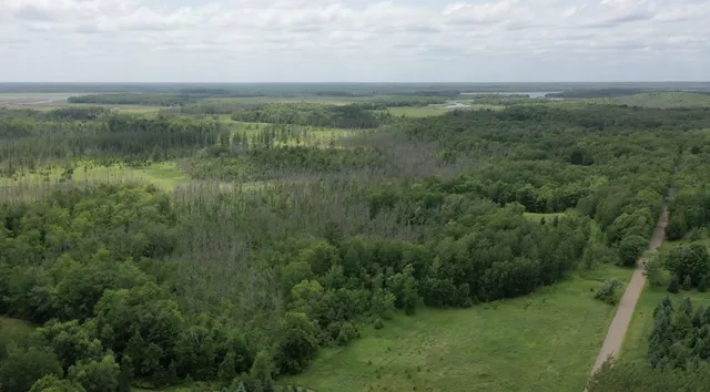 $287,000 | Tbd Tbd Tamarac Road, Onamia, MN 56359