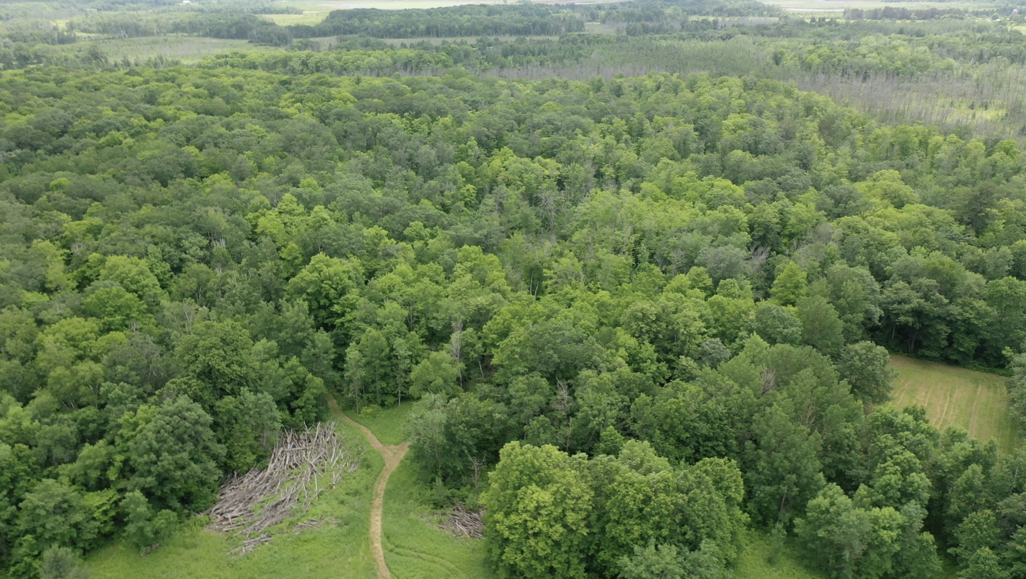 Tbd Tbd Tamarac Road Onamia, MN 56359 - Photo 5 of 49