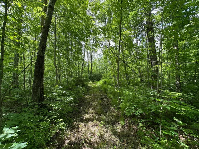 $287,000 | Tbd Tbd Tamarac Road, Onamia, MN 56359