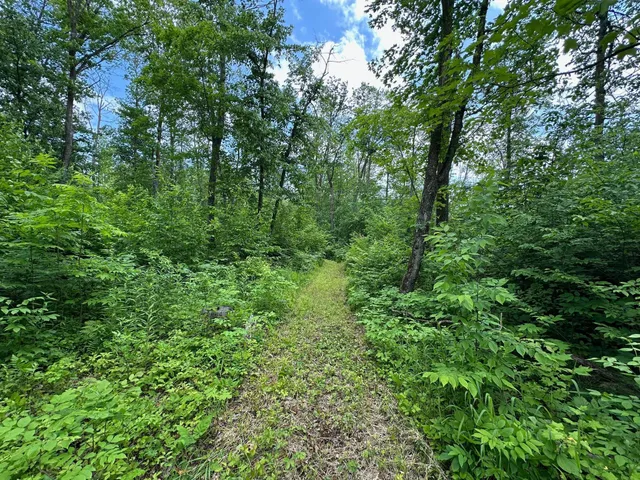 $287,000 | Tbd Tbd Tamarac Road, Onamia, MN 56359