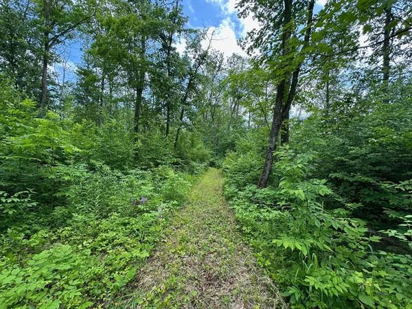 $279,900 | Tbd Tbd Tamarac Road, Onamia, MN 56359