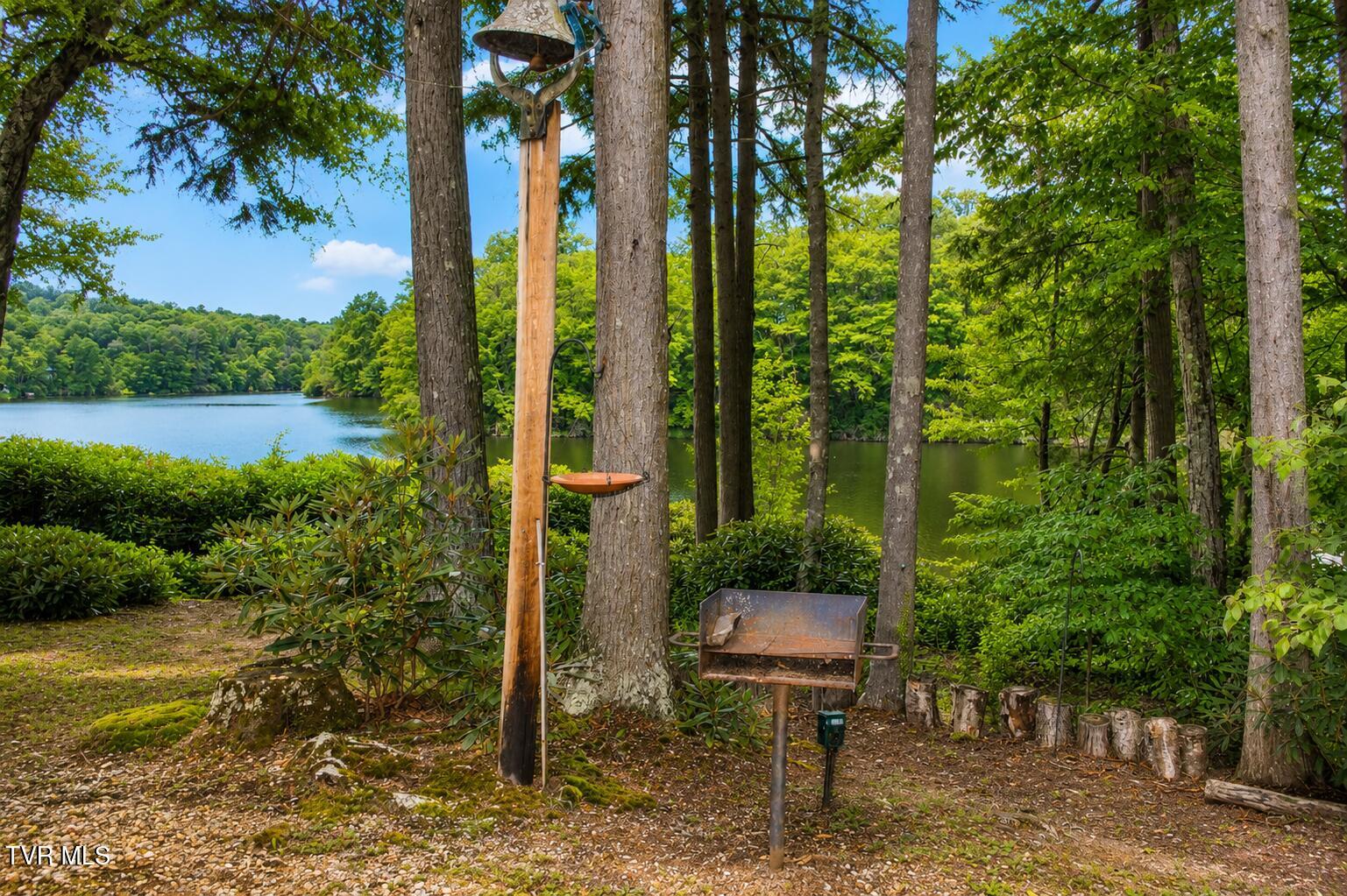 282 Ripshin Lake Road Roan Mountain, TN 37687 - Photo 22 of 72 View of Lake Right