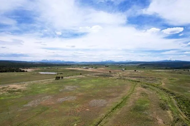a view of a room with wooden floor and windows