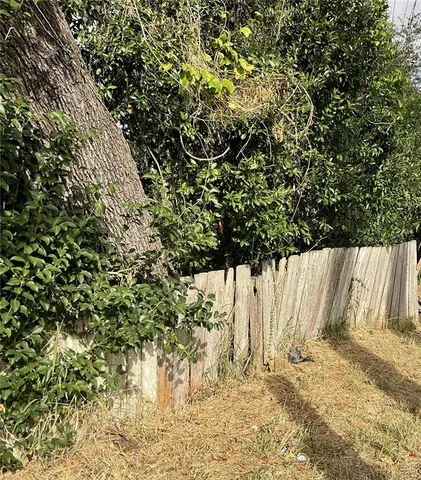 a view of a yard with a tree